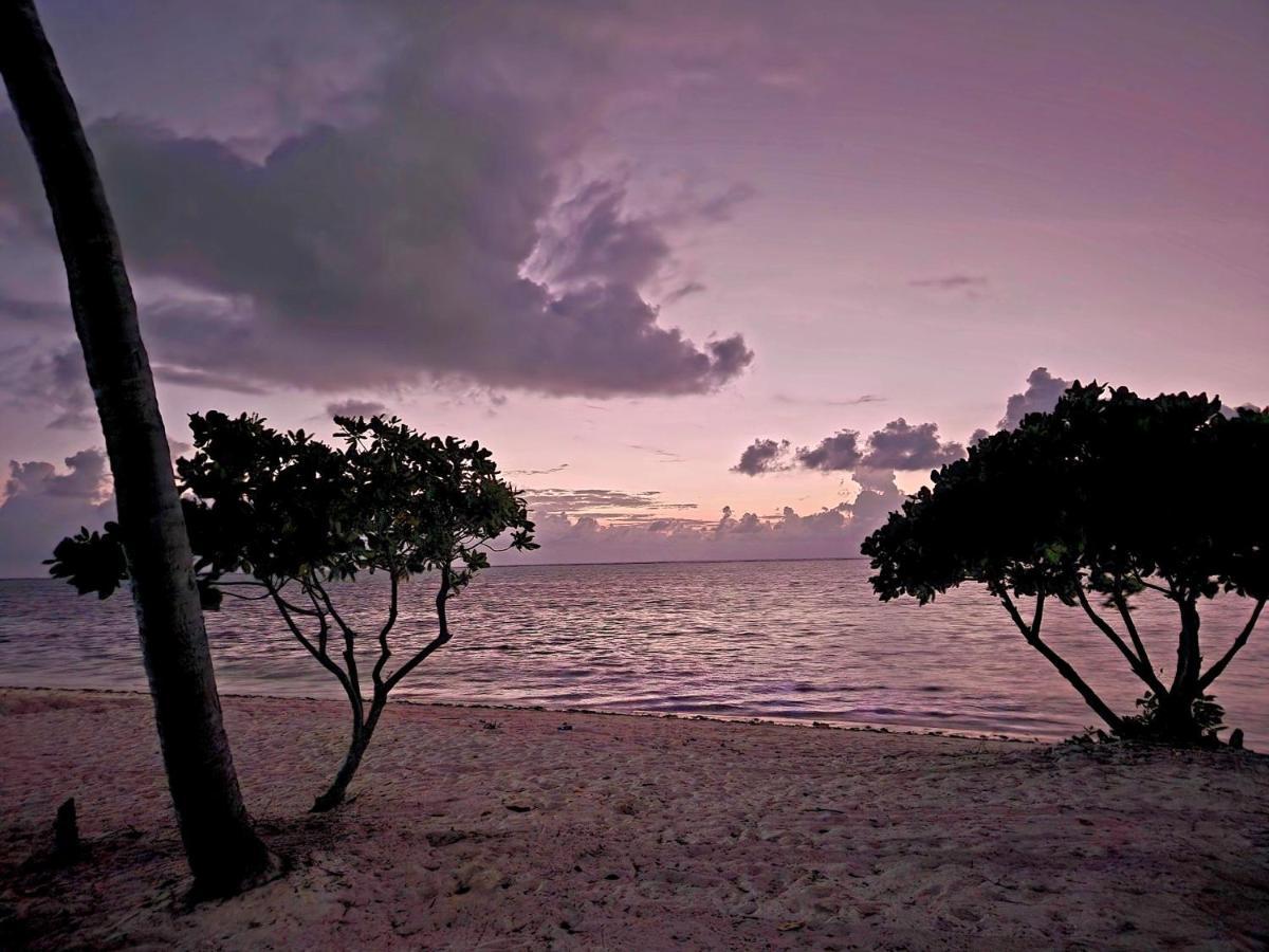 Almas Beach Boutique Hotel Makunduchi Eksteriør bilde